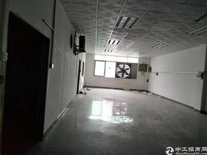 沙头 精品独院厂房6600平出租