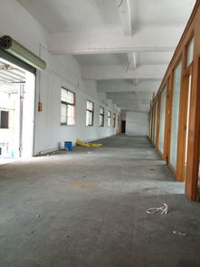 精工标准，轻享无忧——精品厂房，火热招租中